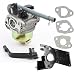 Buckbock Carburetor Carb for Harbor Freight Predator 69675 69676 69728 69729 212CC R210III 4000W Generator