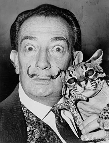 Print Collection Salvatore Dali With Ocelot 36" X 46"