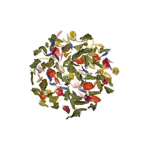 Althaus Tee CLASSIC HERBS ⋅ Kräutertee im Pyramidenbeutel PYRA PACK ⋅ Naturbelassener Kräutertee aus klassischen… – Bild 4