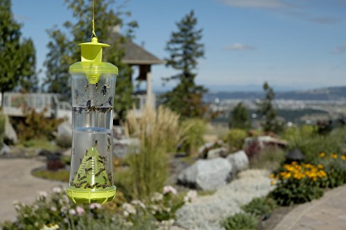 RESCUE! Non-Toxic Reusable Trap for Wasps, Hornets and Yellowjackets