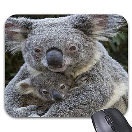 Amazoncom Mousepad Cute Baby Koala Mouse Mat Office Products Amazoncom Mousepad Cute Baby Koala Mouse Mat Office Products