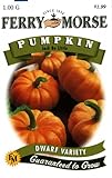 Ferry-Morse Seeds 1978 Pumpkin - Jack Be Little 1 Gram Packet (Discontinued by Manufacturer)