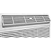 Frigidaire FFTH1422R2 14000 BTU 230-volt Through-The-Wall Air Conditioner with 10600 BTU Supplemental Heat Capability