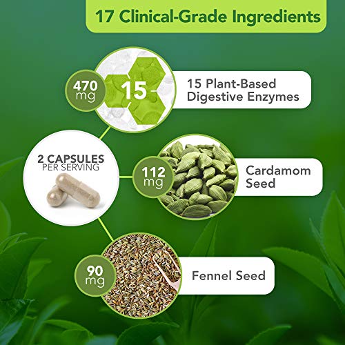 Vital Plan Active Enzymes Supplement by Dr. Bill Rawls Digestive Enzymes for Gut Health