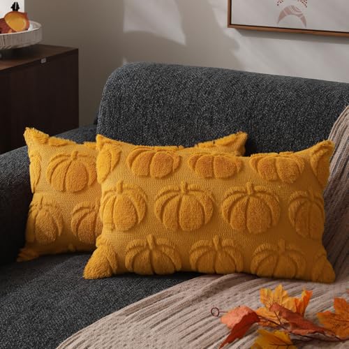 DFXSZ Fall Pillow Covers 12x20