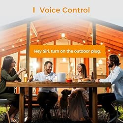 Outdoor Smart Plug, Works with Apple