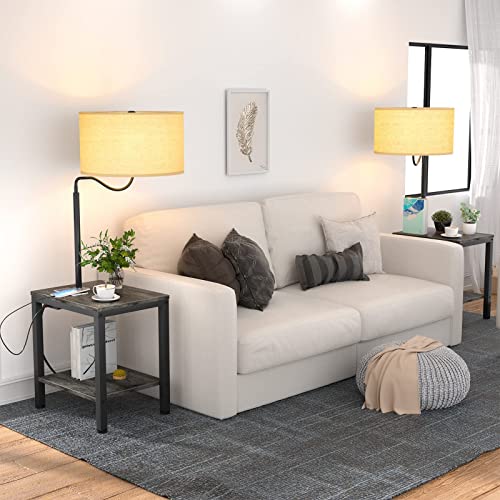 LityMax Floor Lamp with Table, Side Table with Lamp Attached, USB