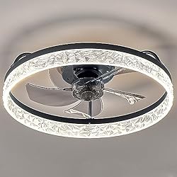viniv 19'' Low Profile Ceiling Fan with Lights
