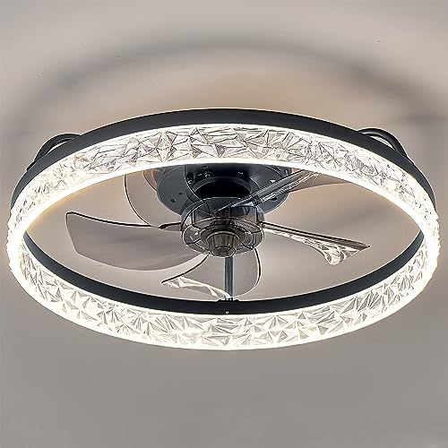 viniv 19'' Low Profile Ceiling Fan with Lights