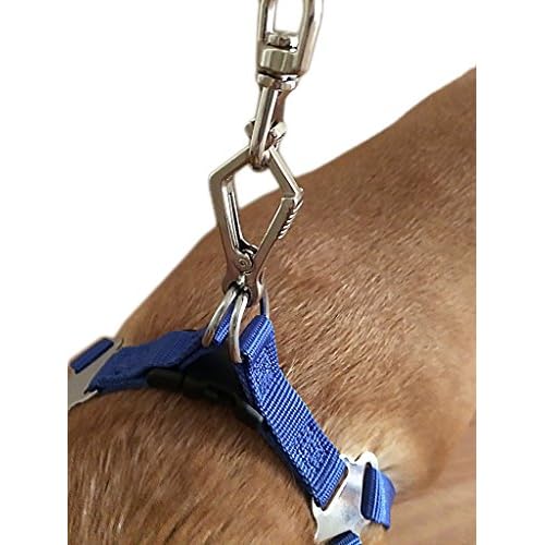 No Chew Heavy Duty Dog Leash for Puppies and Large Dogs Comfort Grip Handle, Steel Core Cable