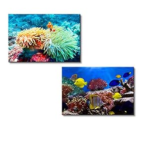 Canvas Wall Art - Coral Reef and Tropical Fish Under The Sea | Modern Home Art 2 Panel Canvas Prints Giclee Printing & Ready to Hang - 16"x24" x 2 Panels