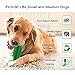 UPBASICN Dog Toothbrush Stick-Bite Brushing Stick Cleaning Interactive Nontoxic Bite Resistant Natural Rubber, Dental Hygiene Brushes for Small to Medium Dogs