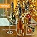 Stainless Steel Champagne stoppers,Champagne Bottle stoppers,Champagne Saver for Sparkling Wine Stopper with Built-in Pressure Pump and Wing Lock, Keep bubble with 168H ！