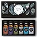 Edens Garden Holiday 6 Set, Best 100% Pure Essential Oil & Essential Oil Synergy Blend Aromatherapy Kit (For Diffuser & Therapeutic Use), 10 ml