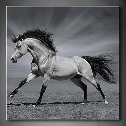 Prasentationsbedarf Neu Verschiedene Formen Magnet Set Ideal Zum Basteln 30 Teile Magnetset Buro Schreibwaren Publiciudad Cl