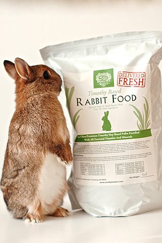 Small Pet Select Rabbit Food Pellets, 10-Pound
