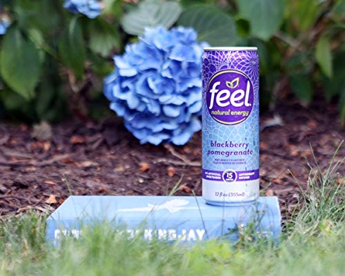 FEEL Sparkling Blackberry Pomegranate Natural Energy Drink, Zero Sugar Healthy Energy Drink, L-Theanine, Green Coffee… - Image 3