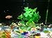 TR318 Brand Pebble Gravel for Fish Turtle Tank Landscape Bottom Decoration Colorful Opal Glass Sand Stone Rocks Glass Ornament for Fantastic Garden or Yard (Colorful)