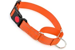 YOUALSO Martingale Collar for Dogs with Buckle, Reflective Dog Choke Collar Escape Proof No Pull Cinch Dog Training Collars Adjustable for Small Medium Large Breed Pet Dogs, Orange XL