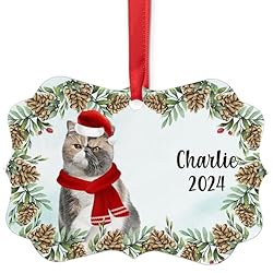 Tricolor Exotic Shorthair Cat Christmas Ornament