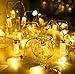 DecorNova 30-LED Battery Operated Glass Jar Fairy String Lights for Bedroom Wedding,Warm White,7.8 Feet