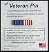 US American Flag Veteran Pin - Made in USA