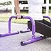 BodyRock Mini Dip Bar Station: Challenger Mini Parallette Bars for Dips & Calisthenics - Parallel Bars to Build Core Strength, Balance & Tricep, Arm & Shoulder Muscles - Fitness Equipment for Home Gym