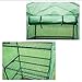 GOJOOASIS 4 Tier Mini Portable Garden Greenhouse Plants Shed Hot House for Indoor and Outdoor