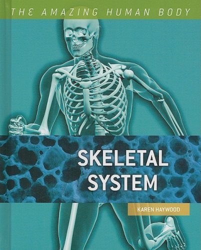 Skeletal System (Amazing Human Body)