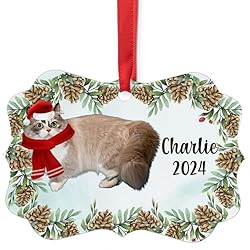 Lilac Munchkin Cat Christmas Ornament 2024