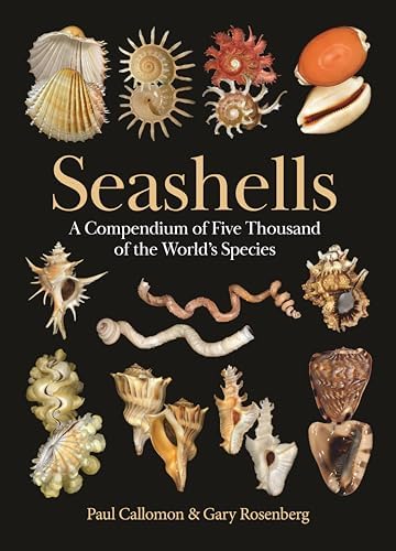 The Encyclopedia of Shells: Wye, Kenneth R.: 9780785812333: Amazon