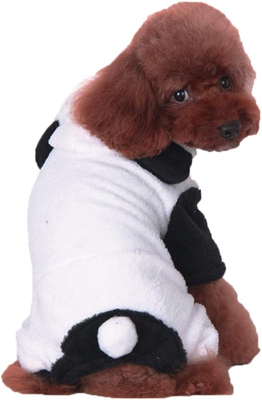 amazon dog apparel
