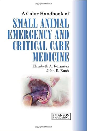 animal emergency and critical care