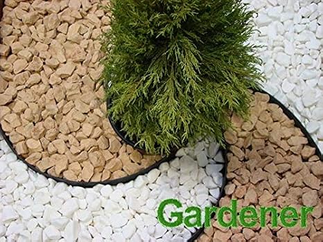 Gardener - Rollo de Papel de Lija para jardín (3, 8 x 10 m), Color ...