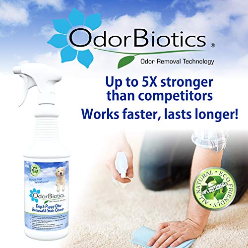 image for OdorBiotics Pet Stain & Odor Remover - Use for Dog Bedding Playpens Cr