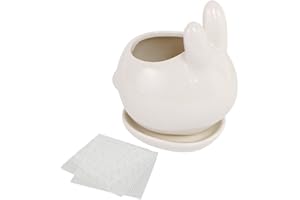 Happy Bonsai Small Ceramic Rabbit, Succulent Plant Pot, Saucer + 2 Mesh Screens