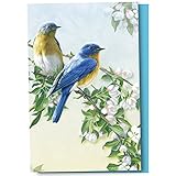 Tree-Free Greetings EcoNotes 12-Count Bluebird Branch Blank Notecard Set With Envelopes, All Occasion, For Bird and Flower Lovers (FS56947)