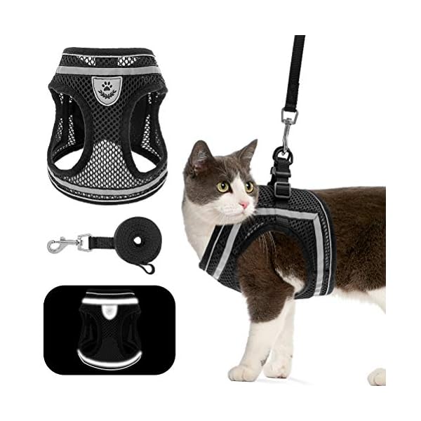 escape proof cat harnesses