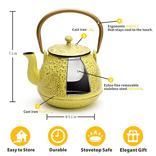 Tea Kettle, TOPTIER Japanese Cast Iron Teapot with Stainless Steel