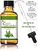 4 oz - Free Ebook + Glass Dropper - Green Spirit Natural Peppermint Oil (Mentha piperita) 100% Pure Therapeutic Grade - Comes with Two Tops, Screw Top for Storage -Threaded Dropper for Easy Dispensing