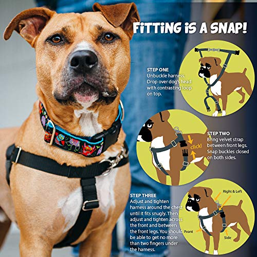 2 Hounds Design Freedom NoPull Dog Harness and Leash, Adjustable Comfortable Control for Dog 2 Hounds Design Freedom NoPull Dog Harness and Leash, Adjustable Comfortable Control for Dog