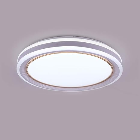 Yzsj Modern Led Ceiling Light Living Room Lamp Ceiling Lamp
