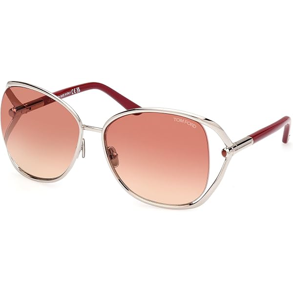 Amazon.com: Tom Ford Sunglasses FT 1091 16T Shiny Palladium/Dark
