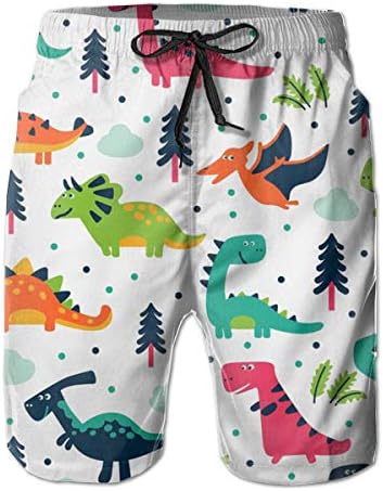 FUNSTYEET Cartoon Dinosaur Men's Board Shorts Swim Trunks Great for Beach & Pool with Mesh Lining and Side Pocket
