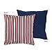 Vintage Aviator Airplane Decorative Accent Throw Pillow by Sweet Jojo Designs