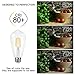 Antique LED Bulb, SHINE HAI 4W (40W Equivalent) ST64 Vintage Edison Light Bulb LED Lighting, 470 Lumen Warm White 2700K E26 Base, Pack of 12