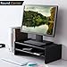 TAVR Computer Monitor Stand Riser Desk Top Storage Organizer for TV Laptop Printer Stand 16.7 x 9.4 inch 2 Tiers Shelves Black CM1002