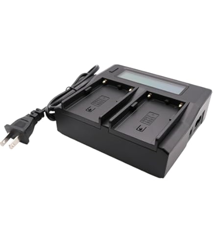 Amazon.com: Sony BC-U2A Dual-Bay Charger/AC Adapter for BP-U90/U60