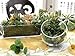 Angel Isabella 20pc Set of Assorted Quality Artificial Succulents Stems DIY Floral Arrangement Accent