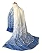 GERINLY Women's Scarves: Fashion Color Paisley Print Oblong Wrap Scarf (Blue)